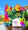 Fiesta themed balloon garland kit 150pcs Mexican Fiesta Party Decorations Arch With Cactus Llama Taco Avocado Chili Pepper Mylar Balloons for carnival Birthday Cinco De Mayo Taco Party Supplies
